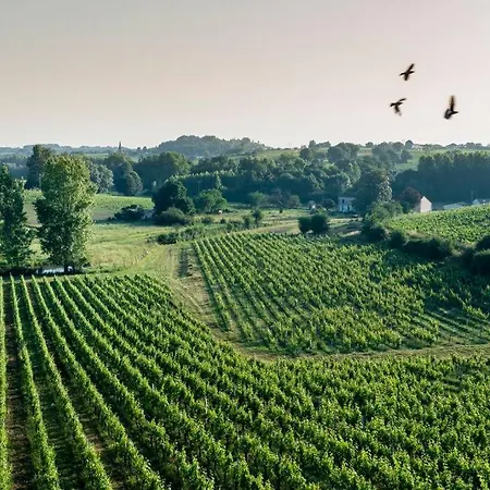 Countryhome At Winery Chateau Camponac Bourg